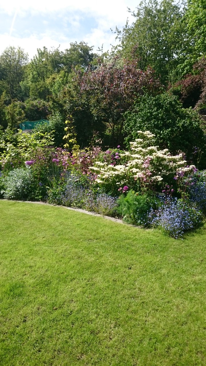 Communal garden after