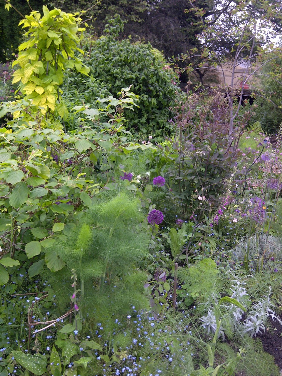 Communal garden