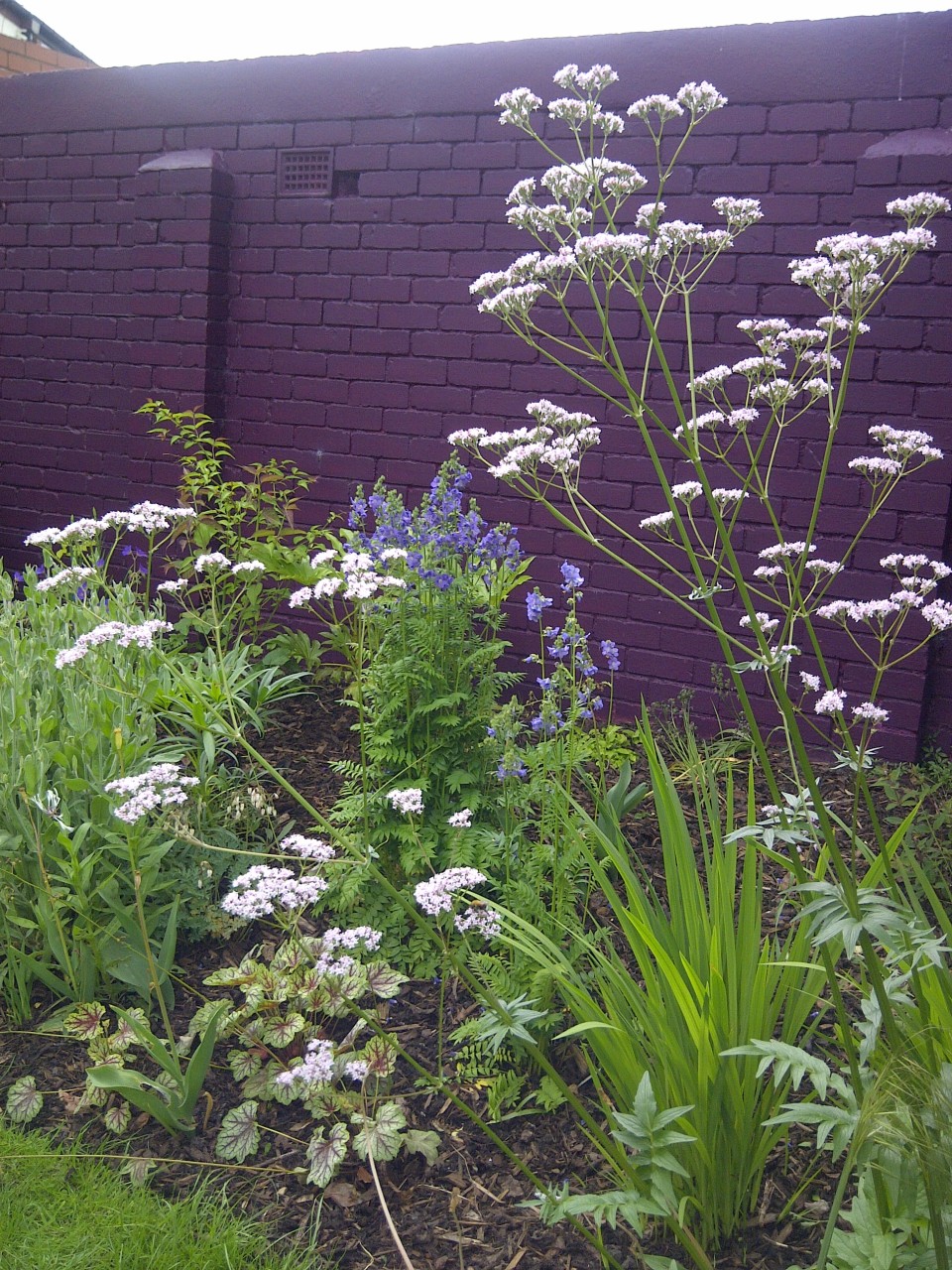 urban garden wall