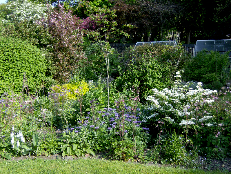 communal garden