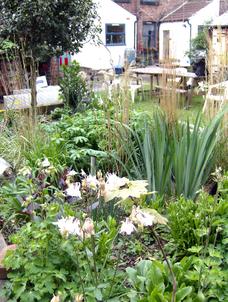 communal garden flowers